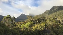 Virée enchantée dans le parc de Cradle Mountain en Tasmanie