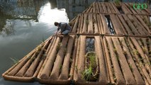 Paris : elle installe un radeau écolo pour dépolluer le canal Saint-Martin