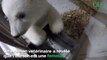 Le zoo de Berlin dévoile de nouvelles images de son petit ours polaire