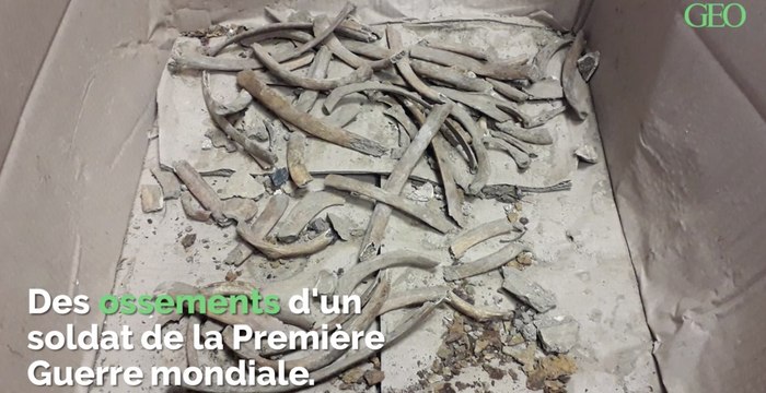 Verdun : la découverte surprenante d'ossements d'un soldat de la Première Guerre mondiale