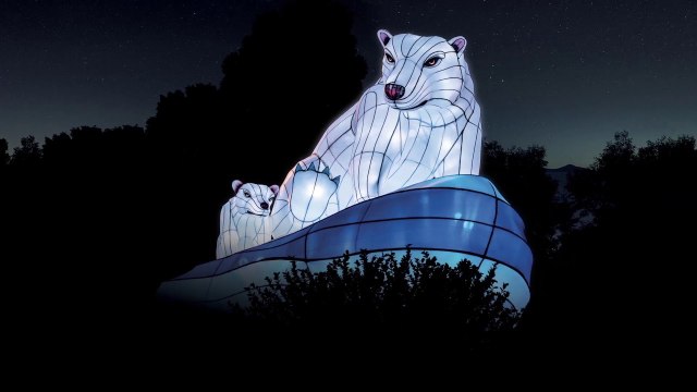 Soirée de lancement d'Espèces en voie d'illumination au Jardin des Plantes
