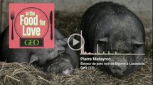 Podcast : Pierre Matayron, militant d'un élevage traditionnel de porc noir de Bigorre