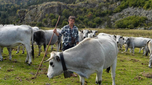 Un extrait de Brice Delsouiller, le vacher à l'assaut des Pyrénées [GEO]