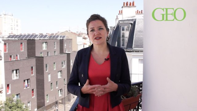 La minute écologique : l'écocide