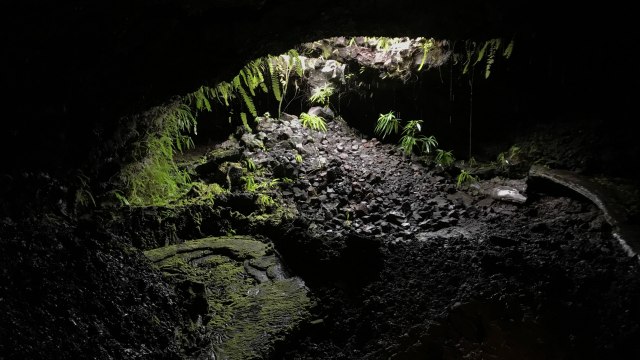 A La Réunion, dans les tunnels de lave du Piton de la Fournaise [GEO 360°]