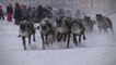 Les nomades nenets s'affrontent dans des courses de rennes