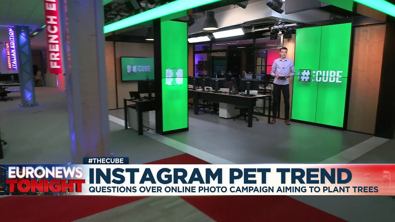 Will sharing photos of your pets really help plant trees? No, but that’s probably a good thing