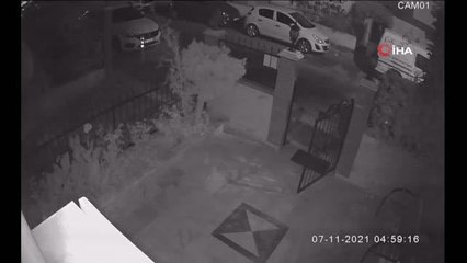 Son dakika haberi | Bahçe kapısı hırsızı güvenlik kamerasında