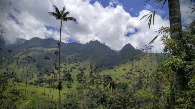 Cinq expériences à vivre en Colombie [GEO]