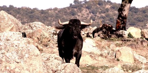 Spot Adolfo Martín Leganés