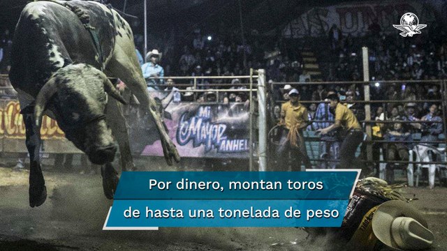 Por 30 mil pesos, niños montan toros en los jaripeos