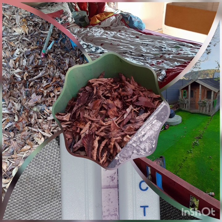 Bett heile machen* Garten putzen*Coronatest doch noch ein Strich/Verfälschung*Corona Tag 601