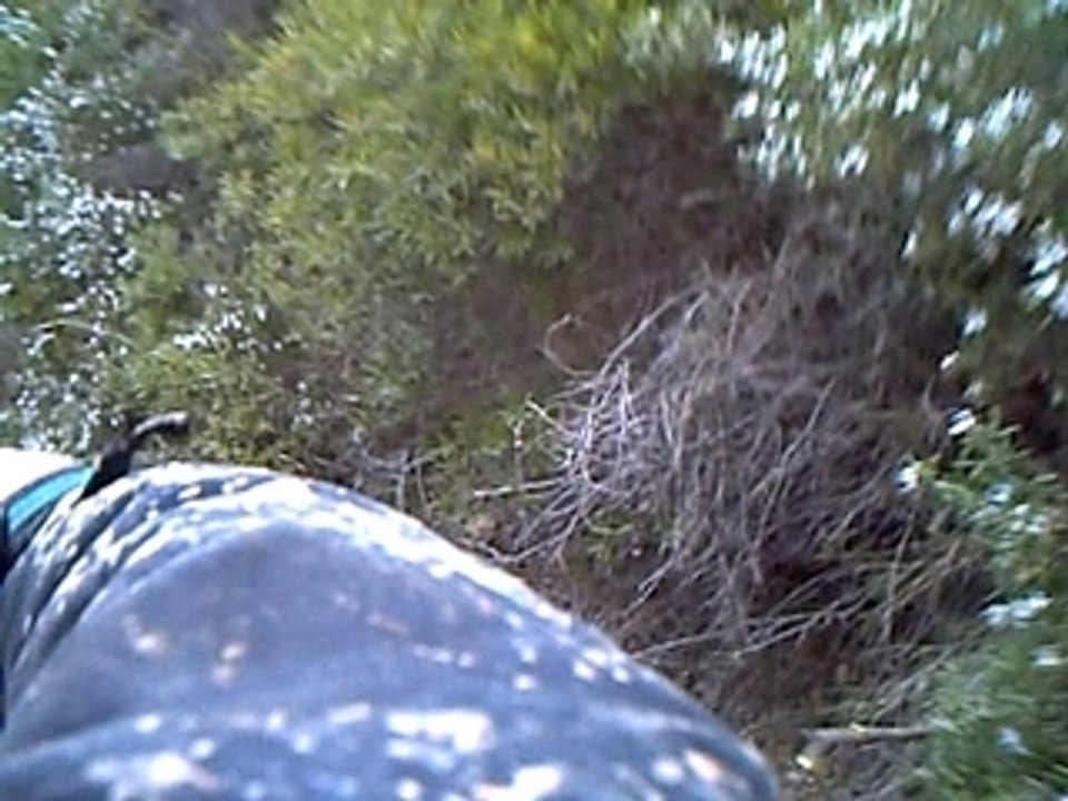 CLIP0026