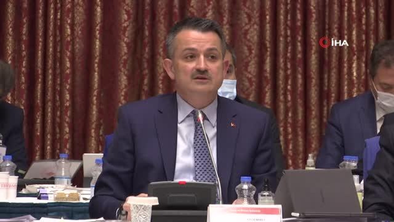 Tarım ve Orman Bakanı Bekir Pakdemirli: "(orman yangınları) Bizim Türk Hava Kurumu'nun eski, uçmayan ve faal olmayan uçaklarını kiralama şansımız...