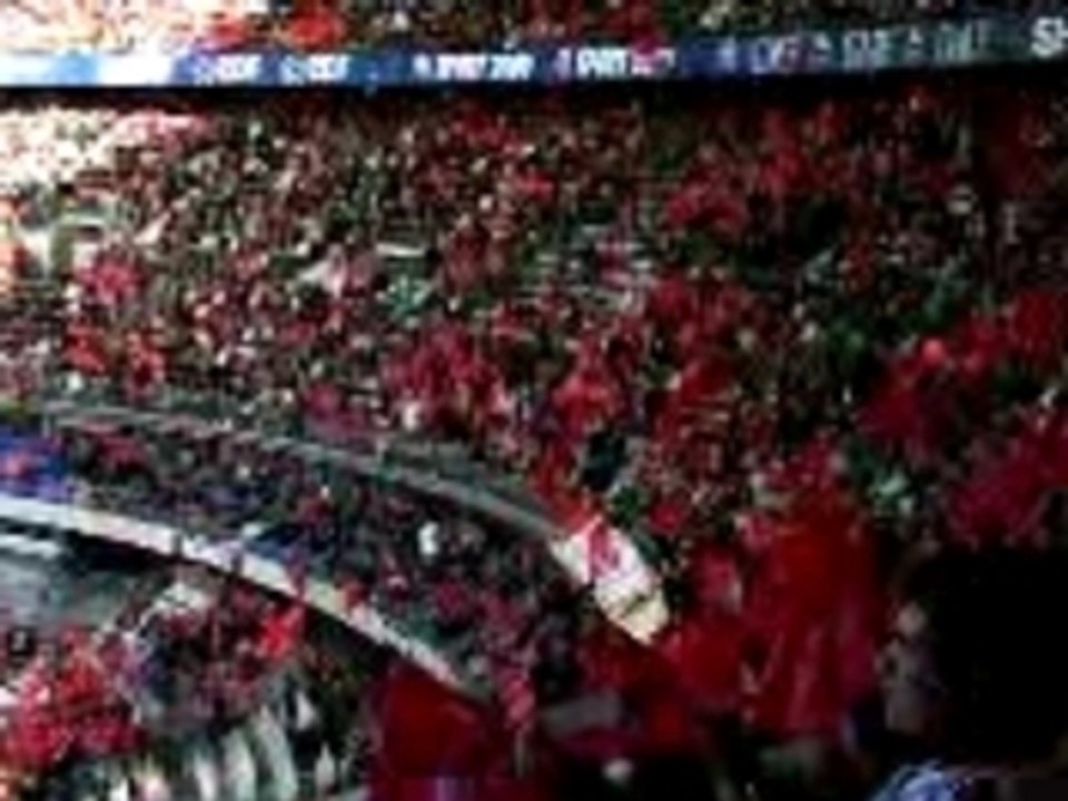 allez le losc (stade de france)