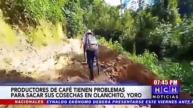 Productores de café preocupados por pésimo estado de las calles en Olanchito, Yoro
