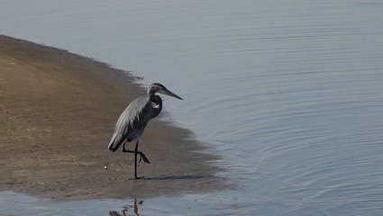 Mississippi approves $62 million in projects 11 years after BP oil spill