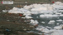 Gefährliches Bad: Giftiger Schaum auf dem Yamuna-Fluss in Indien