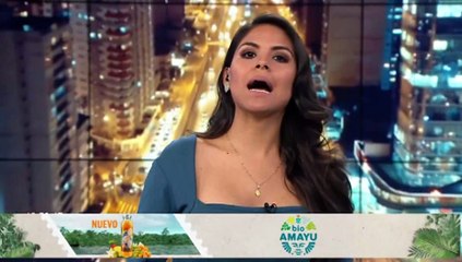 Ascensos irregulares: excomandante presentó chats comprometedores con Pedro Castillo