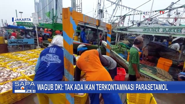 Wagub DKI Jakarta Pastikan Tak Ada Ikan yang Terkontaminasi Limbah Paracetamol