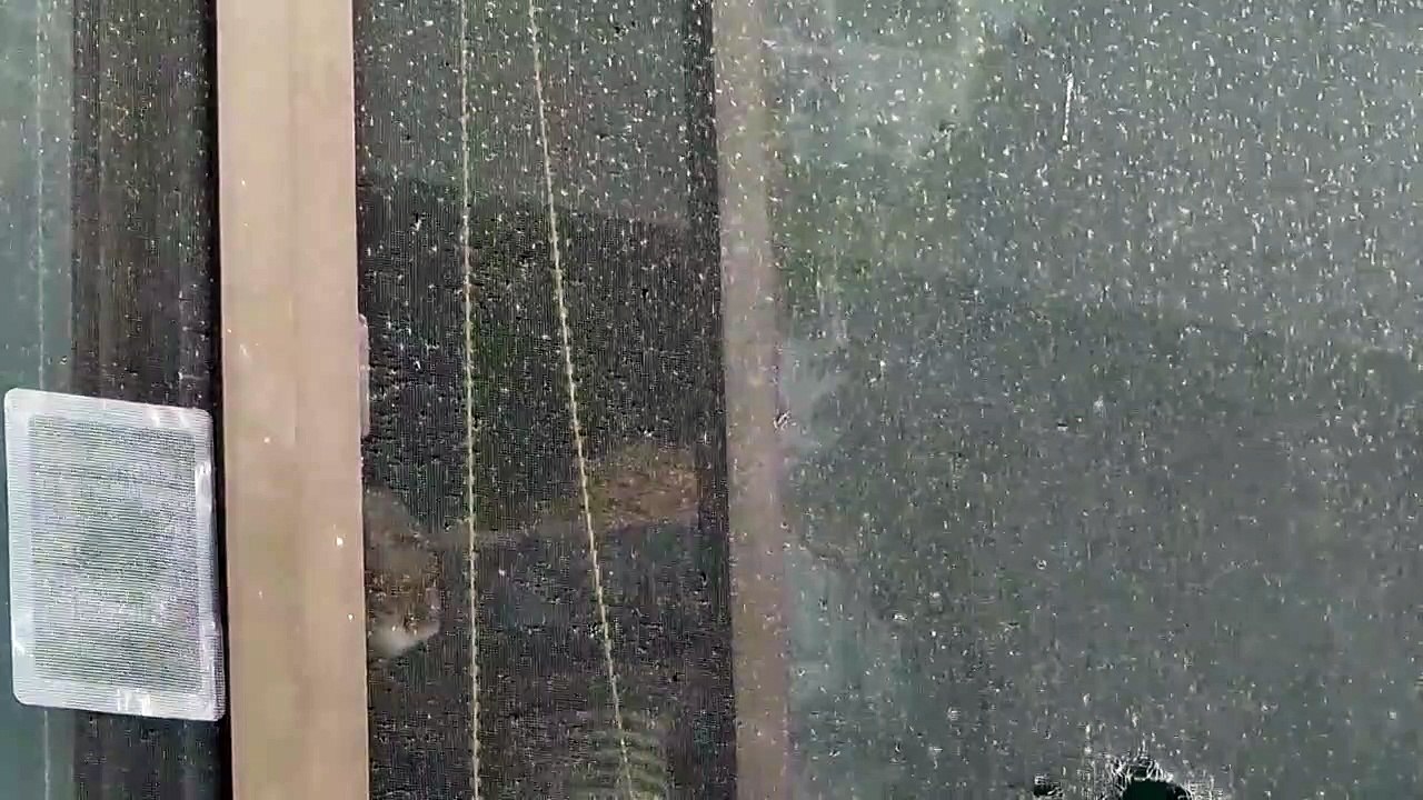 静かに寝てる