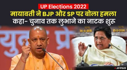 मायावती का सीएम योगी पर तंज, बोलीं - उनकी तरह मेरा भी कोई परिवार नहीं, बीएसपी अपने दम पर लड़ेगी चुनाव