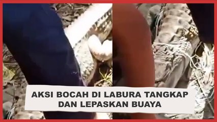 Viral Aksi Bocah di Labura Tangkap dan Lepaskan Buaya