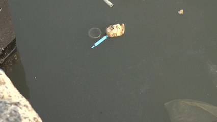 Dalang Pencemaran Paracetamol di Teluk Jakarta Hanya Diberi Sanksi Teguran