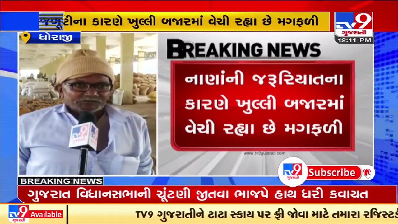 Instead of selling groundnut at MSP, Dhoraji farmers prefer selling their produce in the open market