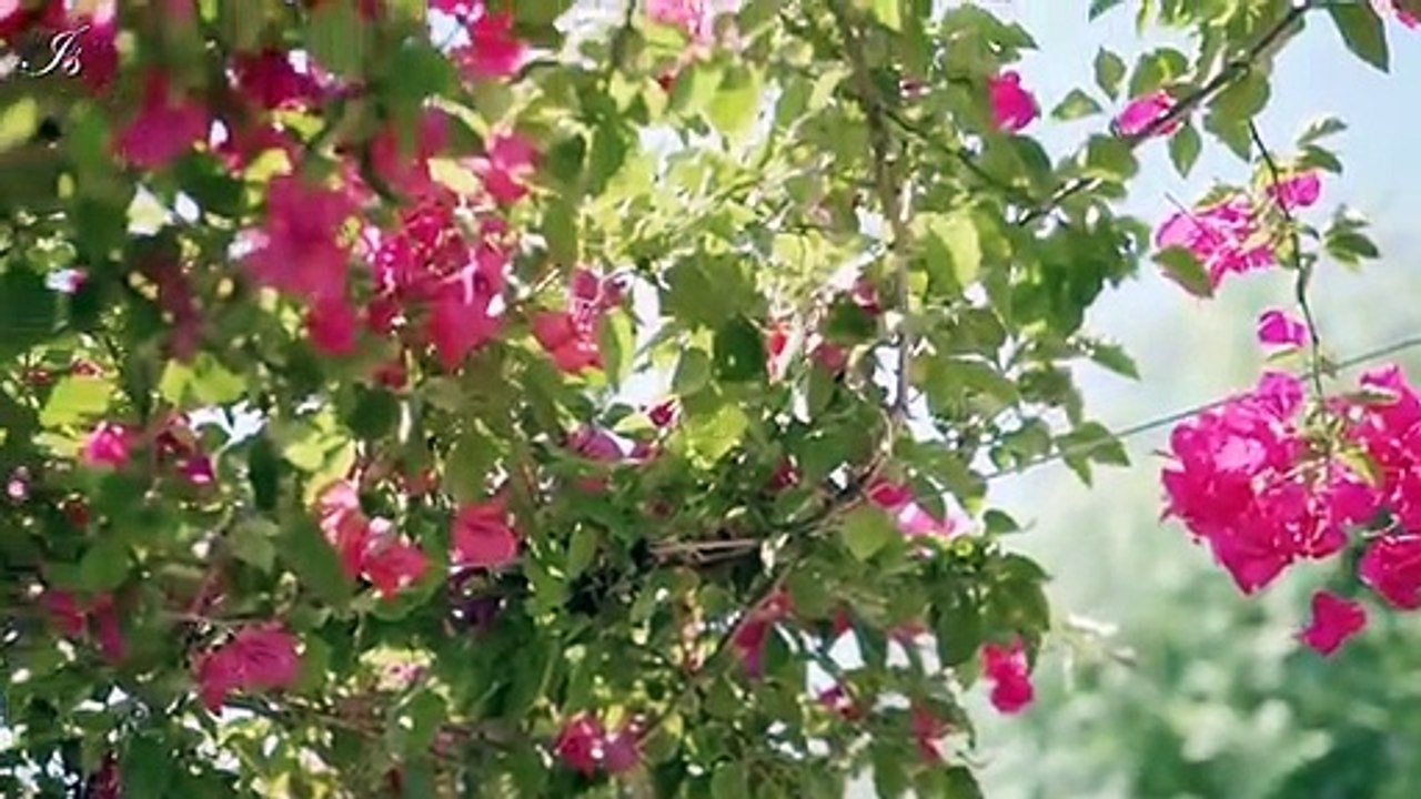 Tak kan terganti (lyric) - Marchel