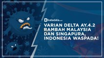 Varian Delta AY.4.2 Rambah Malaysia-Singapura, Indonesia Waspada! I Katadata Indonesia