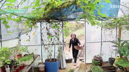 한국기행 - Korea travel_마음이 이끄는 대로 3부- 숲속 작은집에서_#002