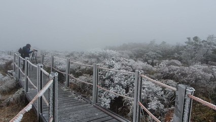 첫눈 내린 한라산, 가을과 겨울의 공존 / YTN