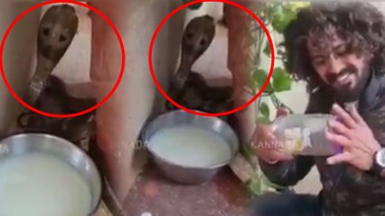 Snake Shyam ಮಗ ಹಾವನ್ನು ರಕ್ಷಿಸಿ ಹೇಳಿದ್ದೇನು? | Oneindia Kannada