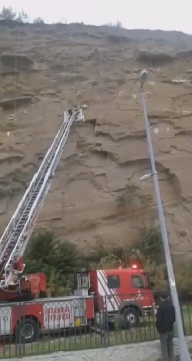 Son dakika haberleri... SİLİVRİ'DE ÇELİK AĞLARA TAKILAN GÜVERCİNLERİ İTFAİYE EKİPLERİ KURTARDI