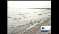 Emiten alerta por fuertes olores provenientes del Salton Sea