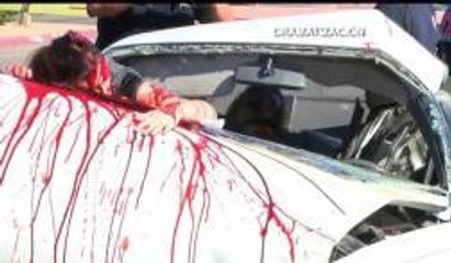 Programa escolar: Conciencia para manejar