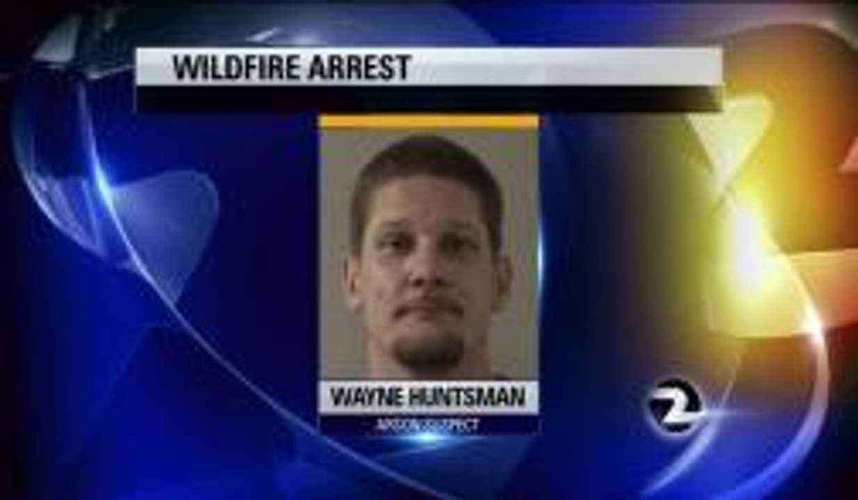 Arrest Made in Wildfire