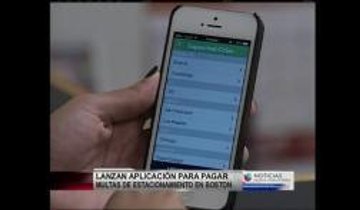 Pago de multas