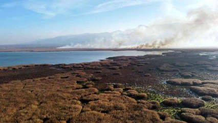 Eber Gölü'nde yine yangınlar başladı
