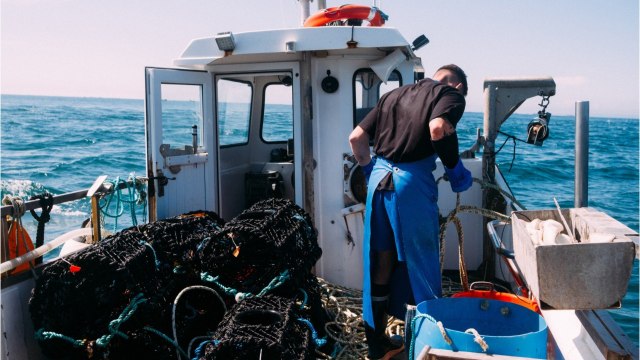 Brexit : tensions Royaume-Uni - France, les pêcheurs de Jersey craignent de ne plus pouvoir vendre en Europe !