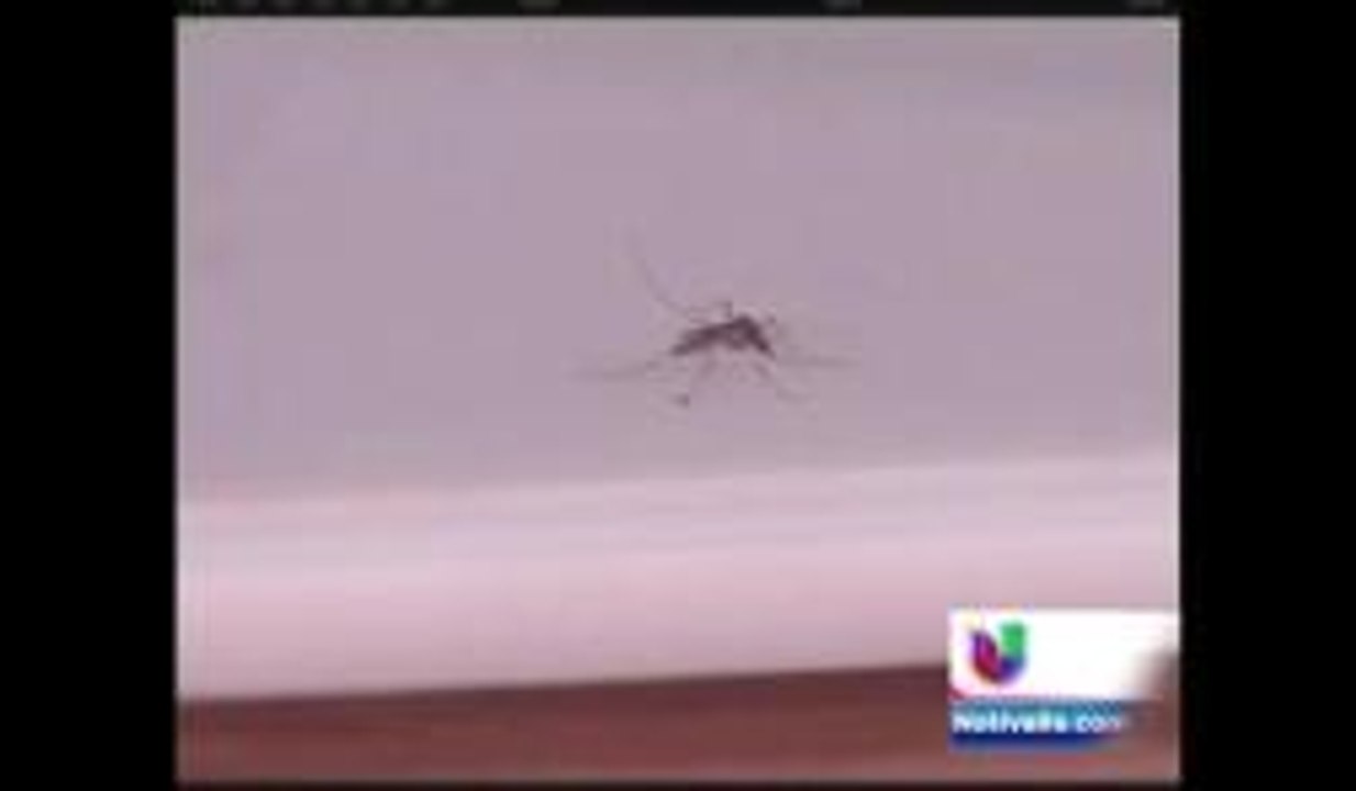 Crece la preocupación por el Virus del Nilo