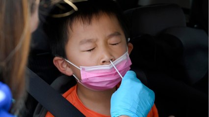 Protocole sanitaire dans les écoles : “nous ne sommes pas prêts”