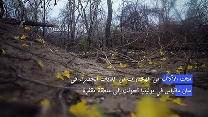 التغير المناخي والحرائق المفتعلة تهديد مزدوج لغابات بوليفيا