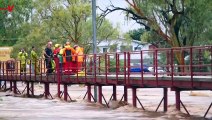 Watch as a Man Clings to a Tree After Major Rainfall