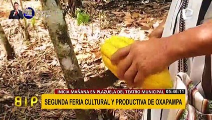 Mañana inicia la segunda feria cultural y productiva agroindustrial de Oxapampa en Lima