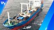 Pesca ilegal en las islas Galápagos, presencia de flota china