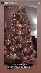 Πόπη Μαλλιωτάκη: Υποδέχεται τις γιορτές με το πιο εντυπωσιακό χριστουγεννιάτικο δέντρο