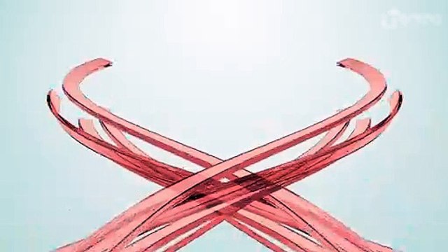 Homem é preso pela Polícia Civil por maus-tratos a animais