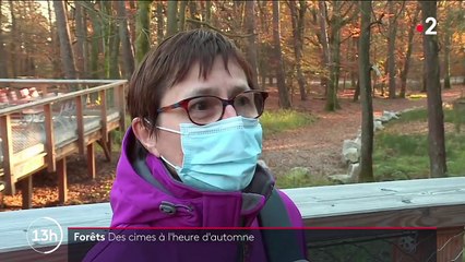 Alsace : promenade sur le tout nouveau "Chemin des Cimes"